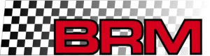 S-117SG BRM 1/32 rear tires for classic wheels (shore 15) 22x9