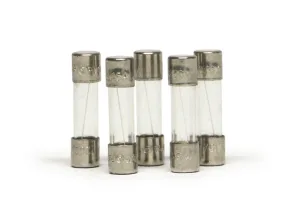 SISCP04C Slot-It Controller Replacement fuse (5)