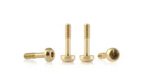 S-136C1 Suspension brass screw M2 flat head 4.0mm x 9.5mm – SHORT (x4)