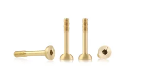 S-138A2 Suspension brass screw M2 spherical head 4.5mm x 11.5mm – LONG (x4)